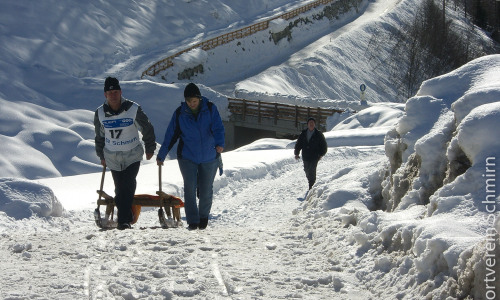 Schlittenrennen-2009-035-CIMG1817