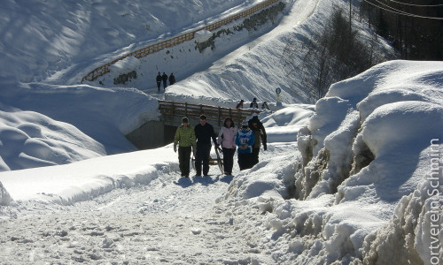 Schlittenrennen-2009-037-CIMG1820