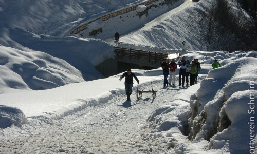 Schlittenrennen-2009-041-CIMG1827