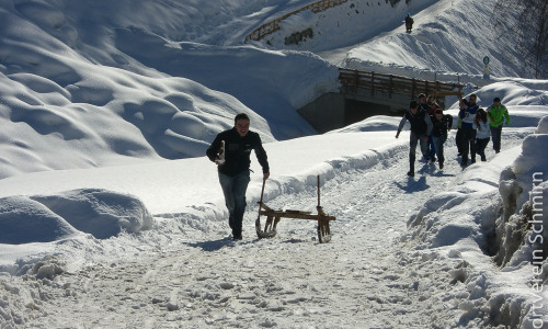 Schlittenrennen-2009-042-CIMG1828