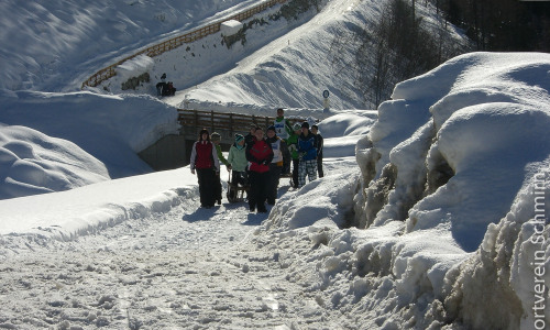 Schlittenrennen-2009-049-CIMG1839